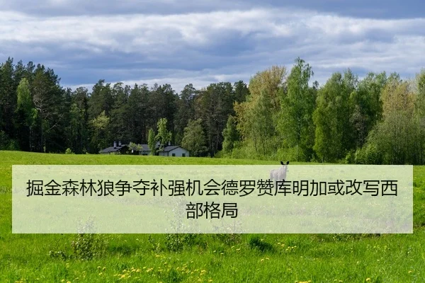 掘金森林狼争夺补强机会德罗赞库明加或改写西部格局